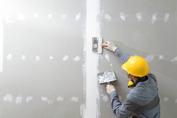 Best Mold Removal for HVAC Installations  in Koontz Lake, IN