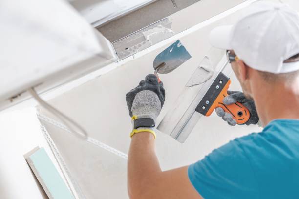 Best Comprehensive Air Testing for Mold Contaminants  in Koontz Lake, IN